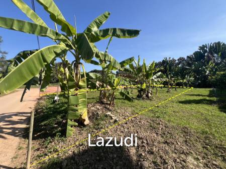 400 SQ.M. Land for sale Near to Chiang Rai City in Rim Kok.