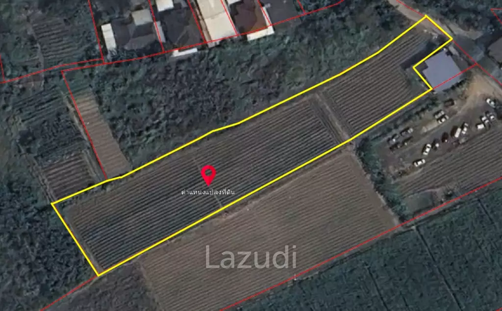 2.5 Rai of Land for Sale in Chiang Mai at a Special Price!