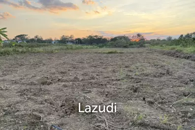 ขายที่ดิน 2.5 ไร่ ในต.ป่าแดด อ.เชียงใหม่ในราคาสุดพิเศษ!