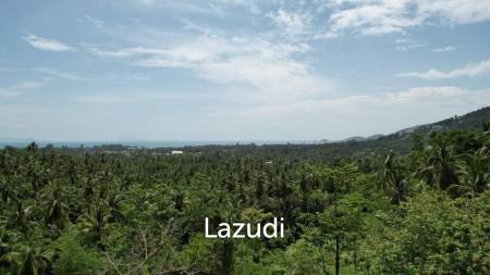 2 Rai Seaview Land Plot for Sale in Lipa Noi