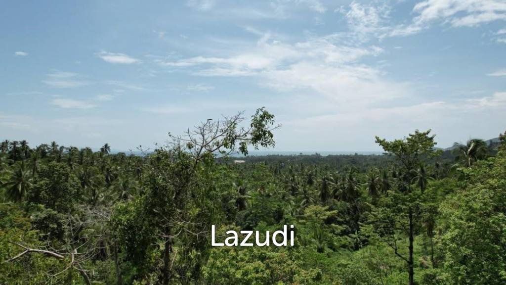 2 Rai Seaview Land Plot for Sale in Lipa Noi