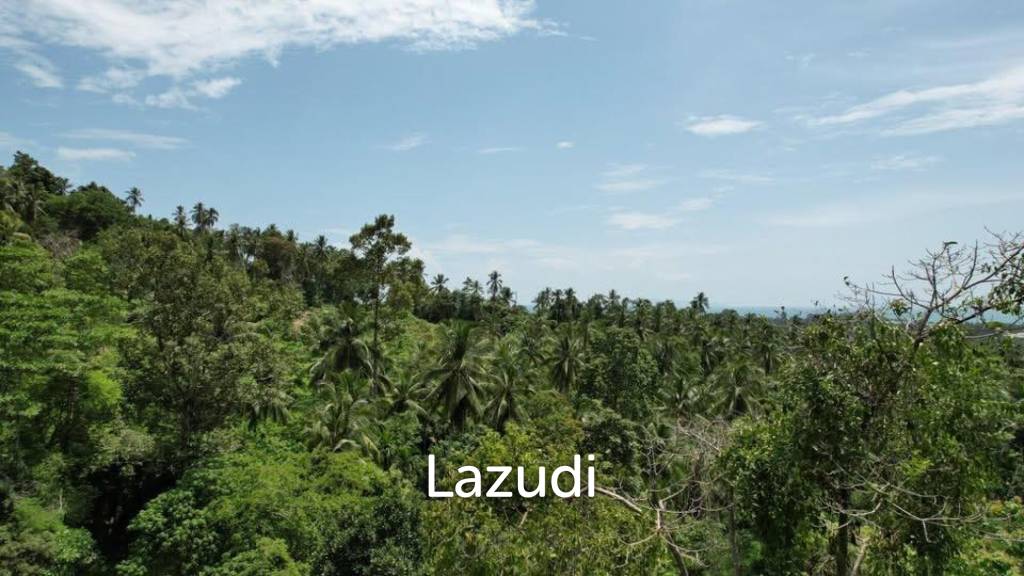 2 Rai Seaview Land Plot for Sale in Lipa Noi