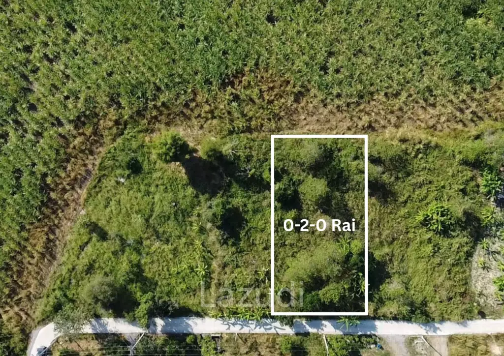 Scenic Land Plot 0-2-0 Rai in Hin Lek Fai