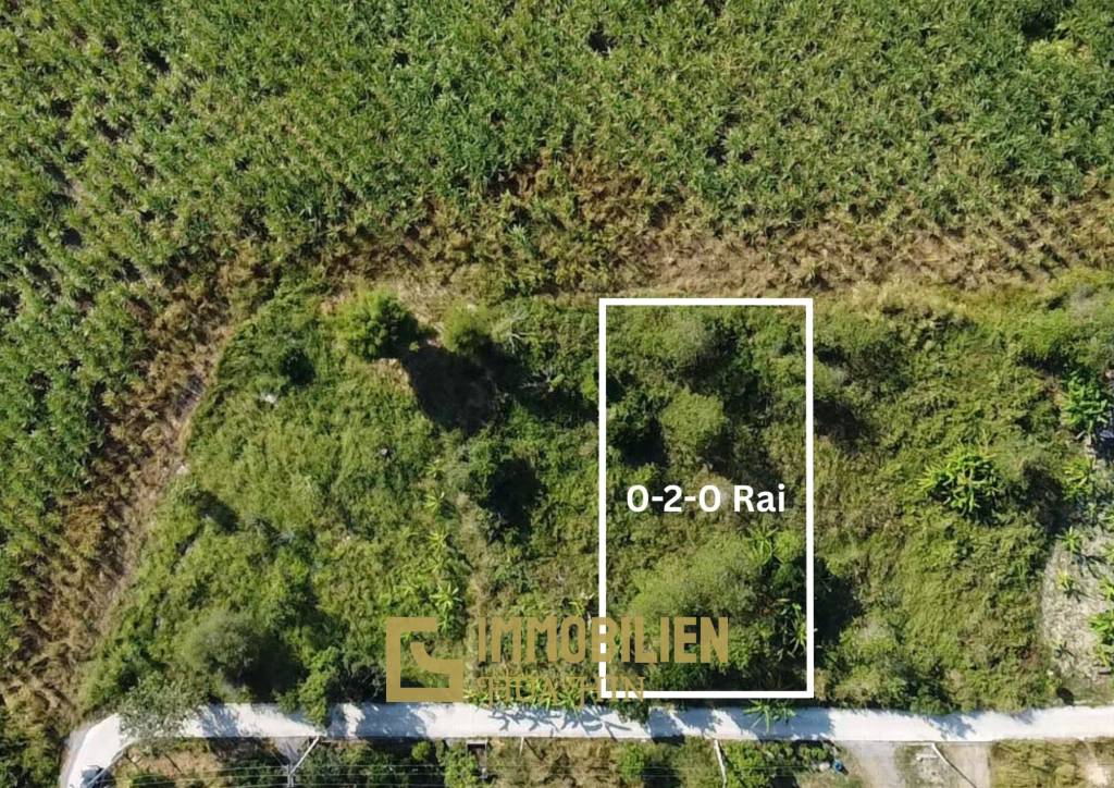 ที่ดินเปล่า 200 ตรว ล้อมรอบด้วยธรรมชาติ ใน หินเหล็กไฟ หัวหิน