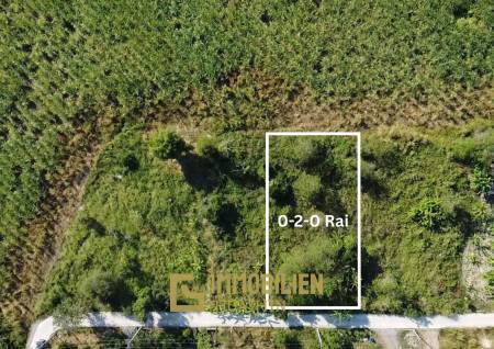 ที่ดินเปล่า 200 ตรว ล้อมรอบด้วยธรรมชาติ ใน หินเหล็กไฟ หัวหิน