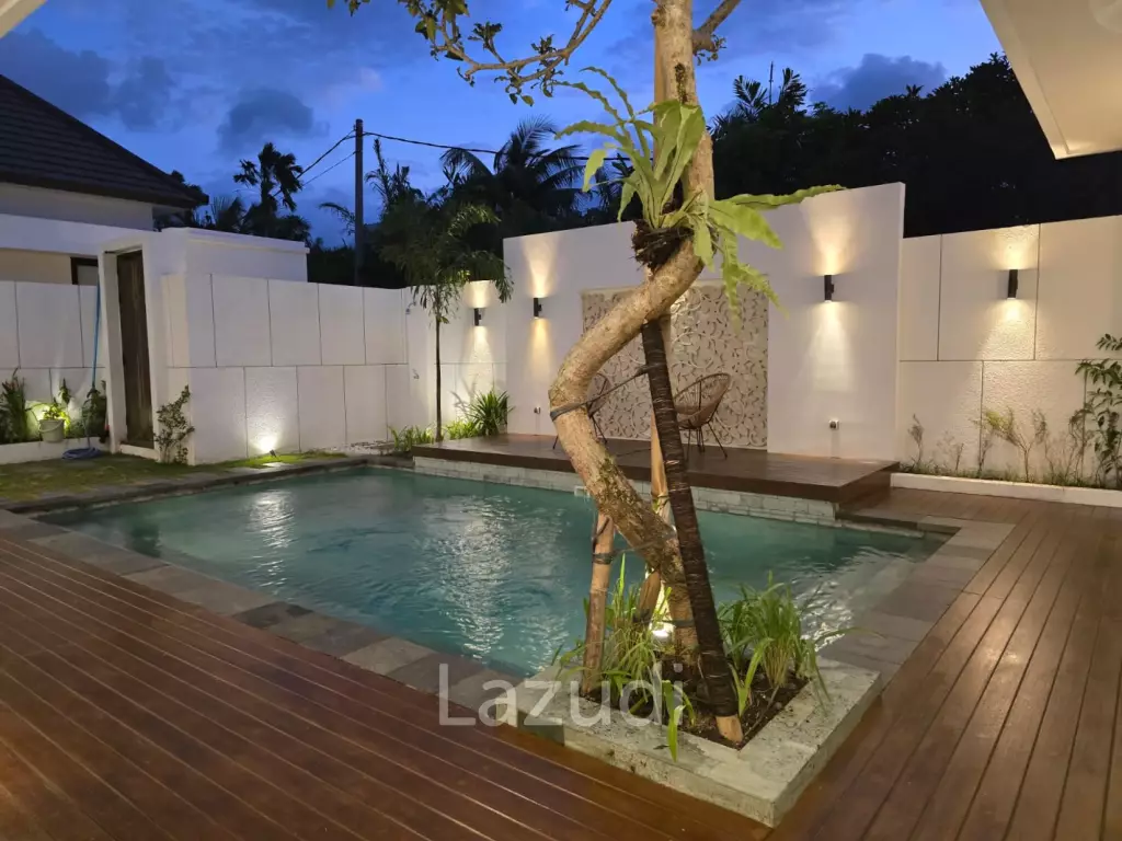Luxurious 2 Bedroom Leasehold Villa For Sale in Popular Petitenget Seminyak