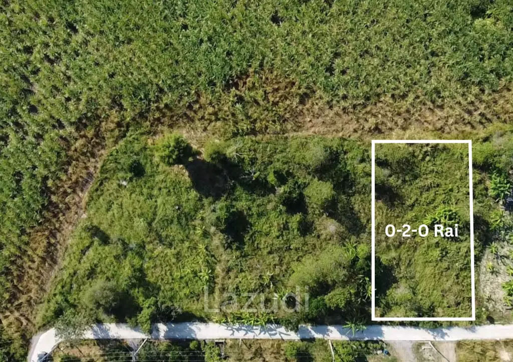 Scenic 0-2-0 Rai or 800 sqm Plot with Panoramic Backdrop in Hin Lek Fai
