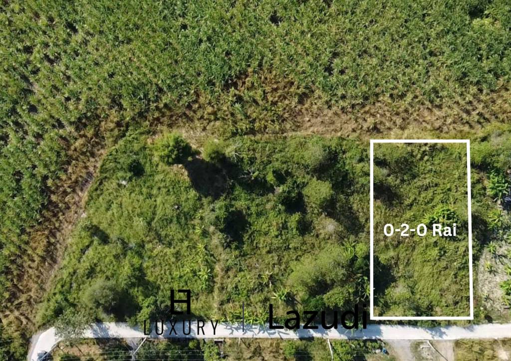 Scenic 0-2-0 Rai or 800 sqm Plot with Panoramic Backdrop in Hin Lek Fai