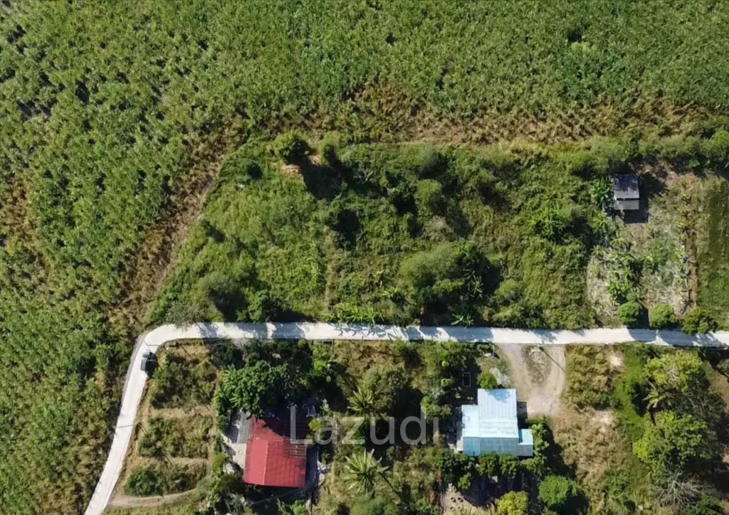 Scenic 0-2-0 Rai or 800 sqm Plot with Panoramic Backdrop in Hin Lek Fai