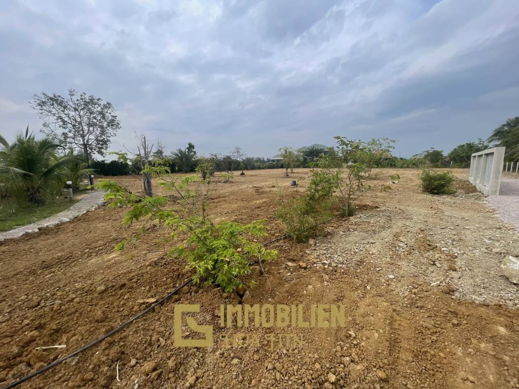 7.790 qm Grundstück / privater Fischeich / 420 qm Wohn- und Terrassenfläche