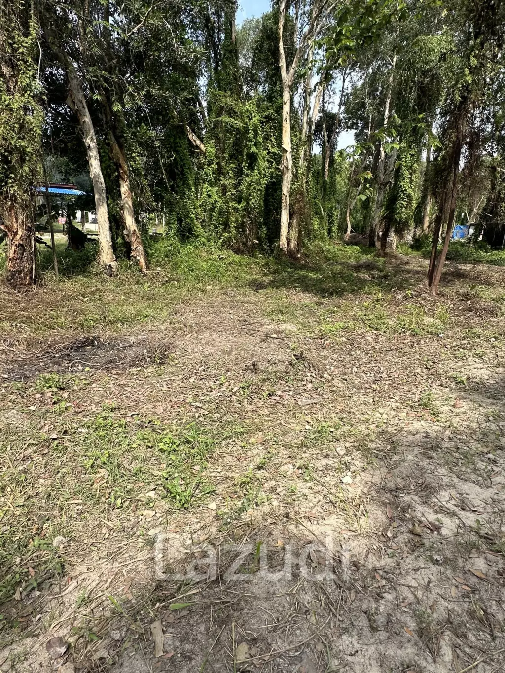 Rare Development Plot with Strong Potential in Woktum