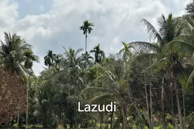 1 Rai Land for Long-Term Lease in Woktum