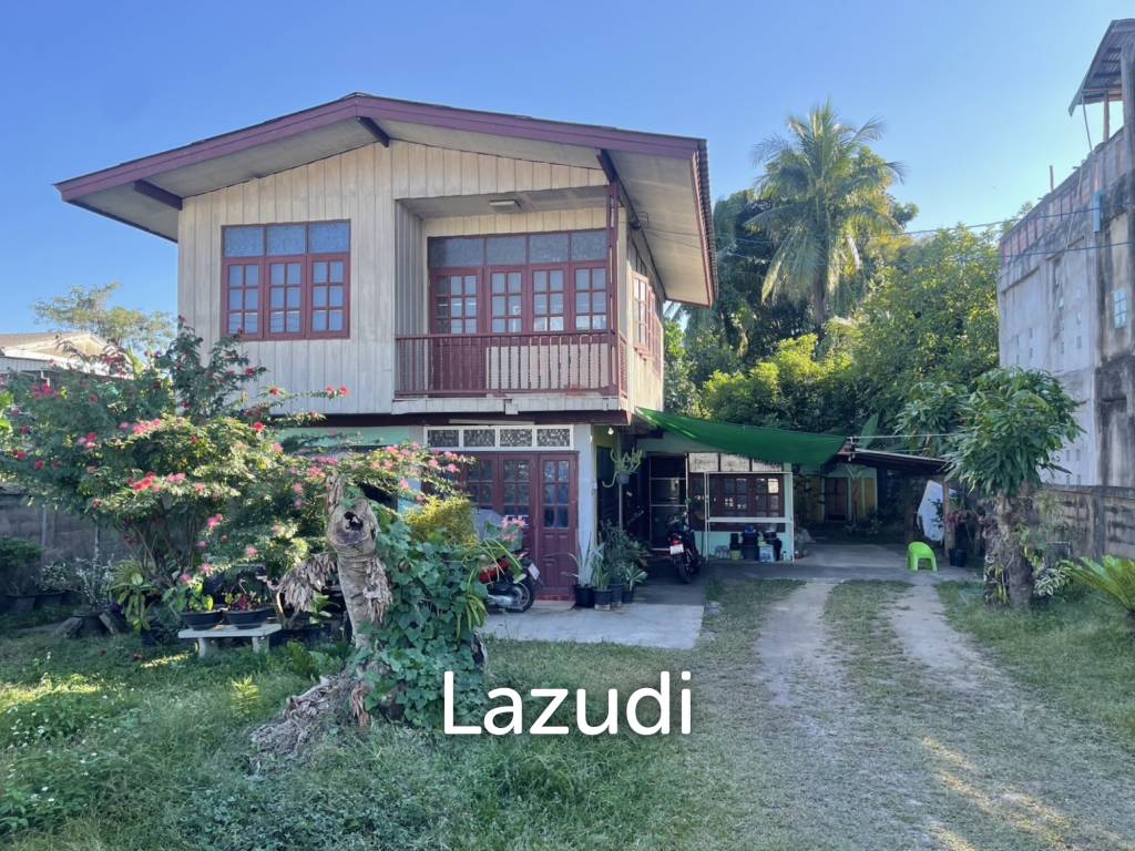 ขายที่ดิน 121 ตรว. ผังสีแดงใกล้ถนนหลัก อ.แม่จัน