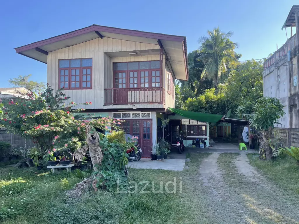 ขายที่ดิน 121 ตรว. ผังสีแดงใกล้ถนนหลัก อ.แม่จัน