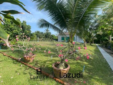 Land for Sale – 1Rai Green Canopy in Hin Lek Fai