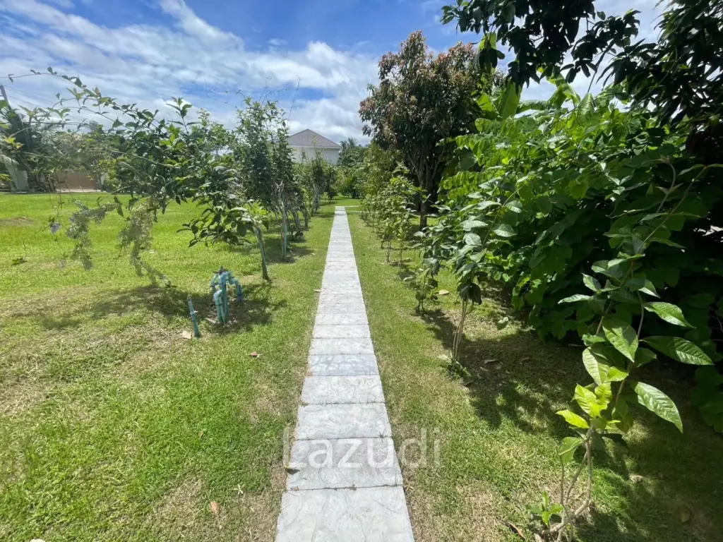 Land for Sale – 1Rai Green Canopy in Hin Lek Fai