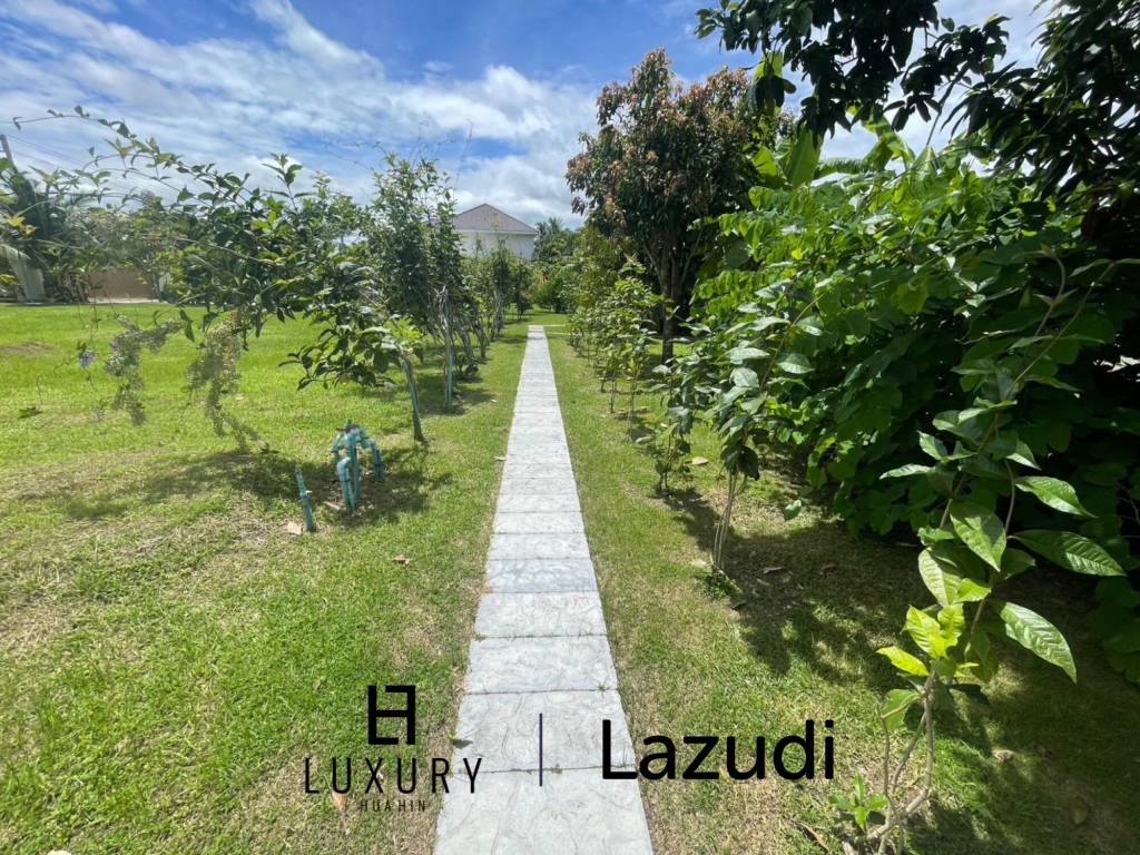 Land for Sale – 1Rai Green Canopy in Hin Lek Fai