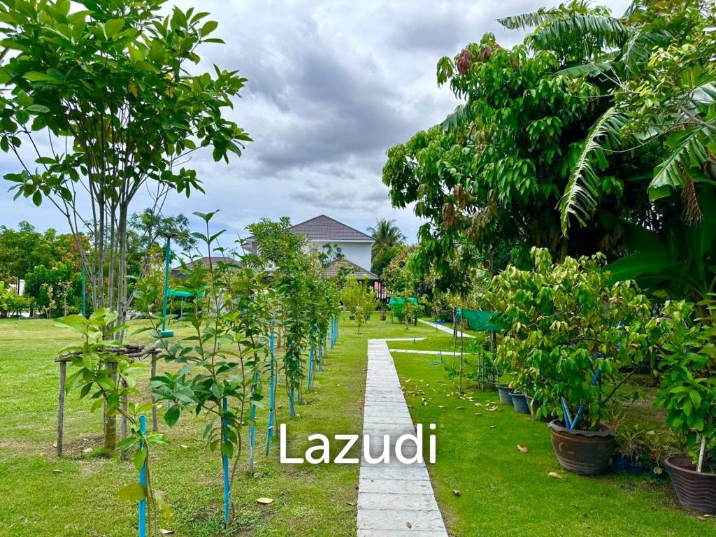 Land for Sale – 1Rai Green Canopy in Hin Lek Fai