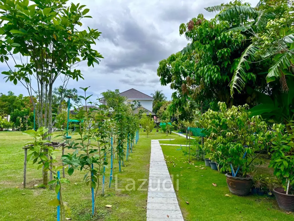 Land for Sale – 1Rai Green Canopy in Hin Lek Fai