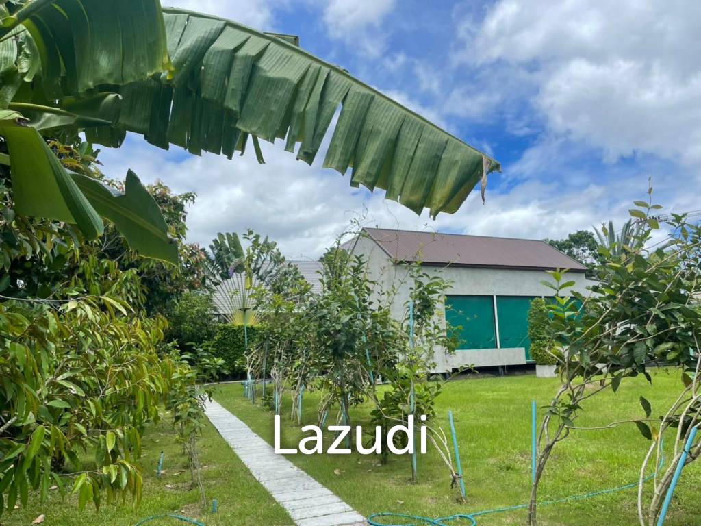 Land for Sale – 1Rai Green Canopy in Hin Lek Fai
