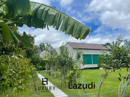 Land for Sale – 1Rai Green Canopy in Hin Lek Fai