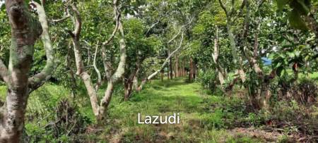 ขายที่ดิน 14 ไร่ ในบรรยากาศกลางทุ่งนาและวิวภูเขา ใน อ.พาน