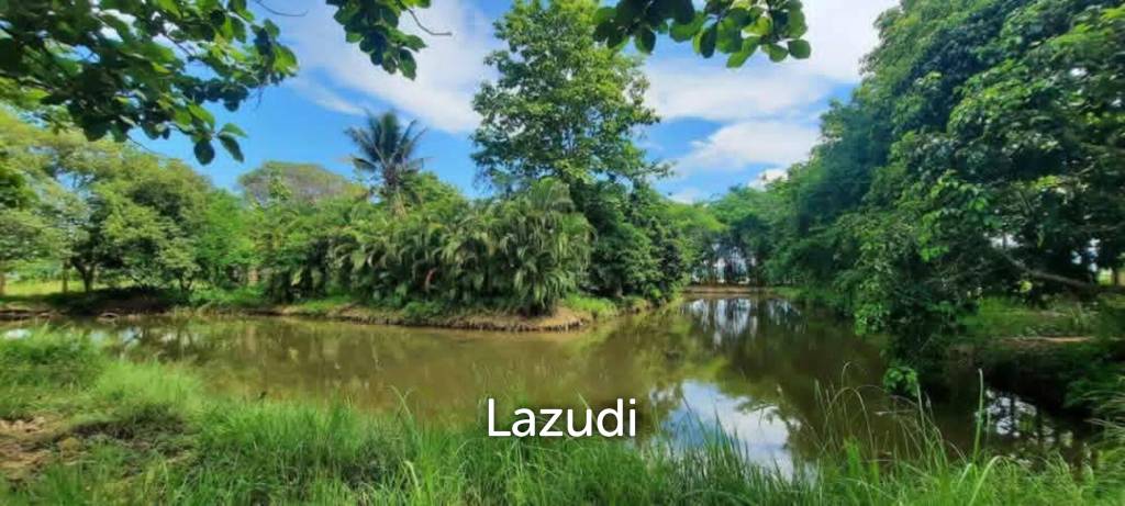 14 Rai Land in Middle of Rice Field and Mountain view.