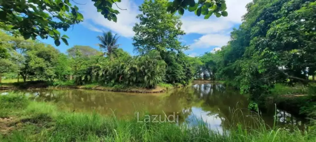 14 Rai Land in Middle of Rice Field and Mountain view.