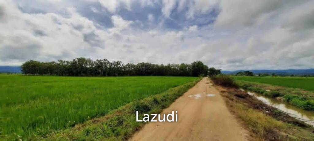 14 Rai Land in Middle of Rice Field and Mountain view.