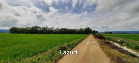 ขายที่ดิน 14 ไร่ ในบรรยากาศกลางทุ่งนาและวิวภูเขา ใน อ.พาน