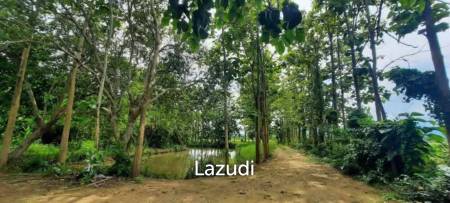 ขายที่ดิน 14 ไร่ ในบรรยากาศกลางทุ่งนาและวิวภูเขา ใน อ.พาน