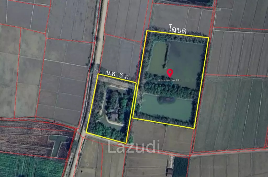 14 Rai Land in Middle of Rice Field and Mountain view.