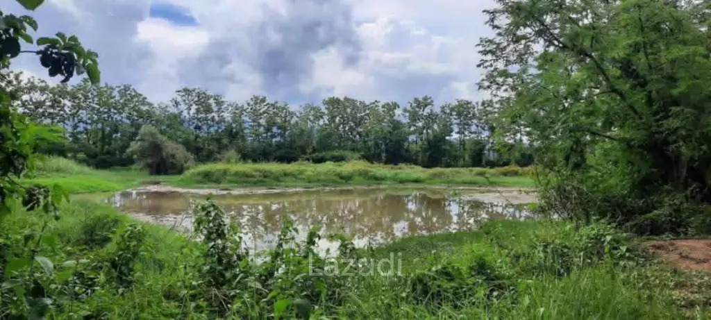 14 Rai Land in Middle of Rice Field and Mountain view.