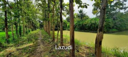 ขายที่ดิน 14 ไร่ ในบรรยากาศกลางทุ่งนาและวิวภูเขา ใน อ.พาน