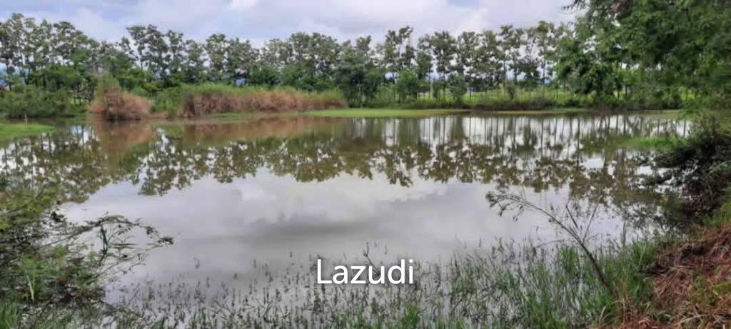 14 Rai Land in Middle of Rice Field and Mountain view.