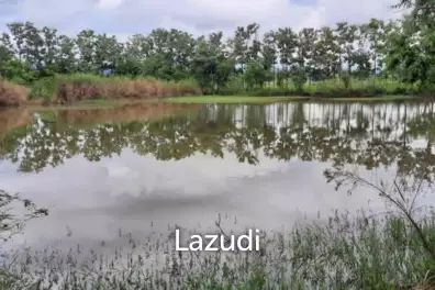 ขายที่ดิน 14 ไร่ ในบรรยากาศกลางทุ่งนาและวิวภูเขา ใน อ.พาน