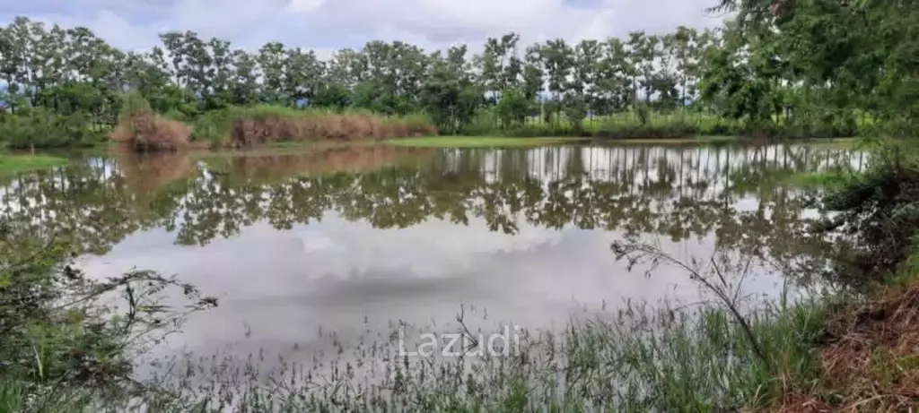 14 Rai Land in Middle of Rice Field and Mountain view.