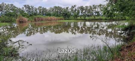 ขายที่ดิน 14 ไร่ ในบรรยากาศกลางทุ่งนาและวิวภูเขา ใน อ.พาน