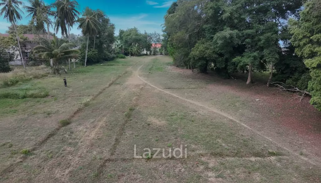 Hot Priced Flat Land Plot Just 100m from Lipa Noi Beach – Koh Samui