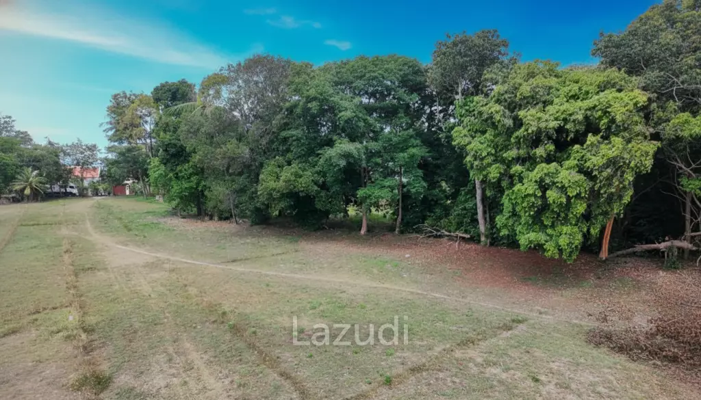 Hot Priced Flat Land Plot Just 100m from Lipa Noi Beach – Koh Samui