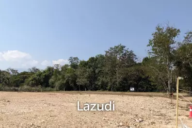 3 Ngan Land for sale near Maejo University in San Sai District