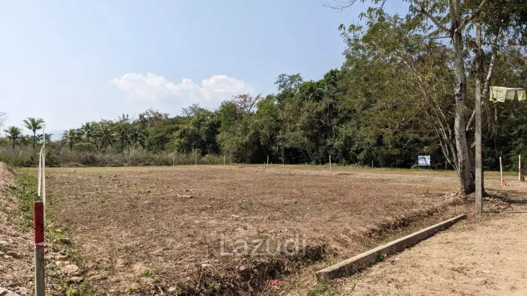 3 Ngan Land for sale near Maejo University in San Sai District