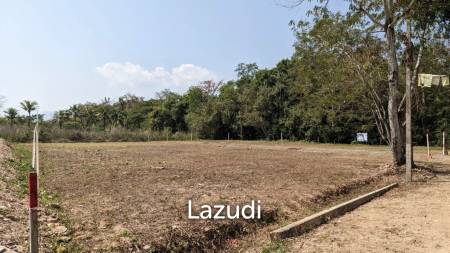 ขายที่ดิน 3 งาน ใกล้ ม.แม่โจ้ ในอ.สันทราย เชียงใหม่