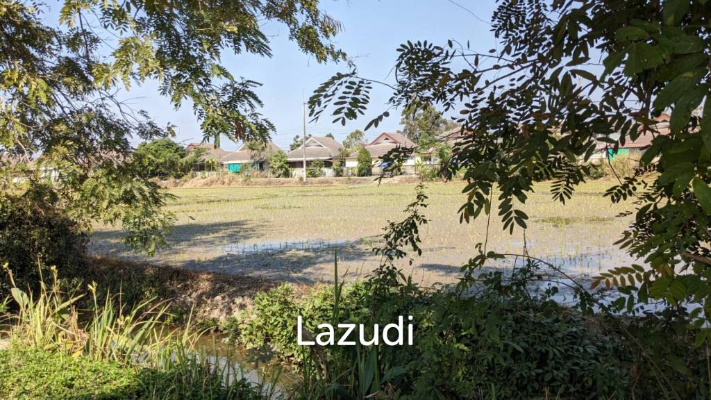 3 Ngan Land for sale near Maejo University in San Sai District