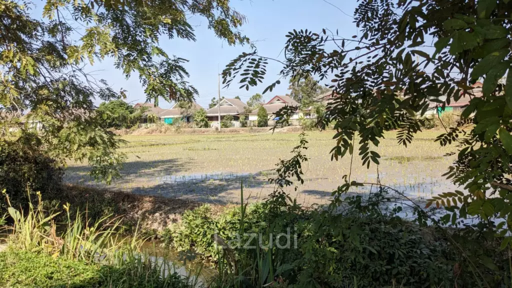 3 Ngan Land for sale near Maejo University in San Sai District