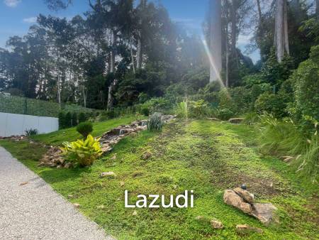 Ultra-Modern Forest Retreat: New Hi-Tech Minimalistic Villa