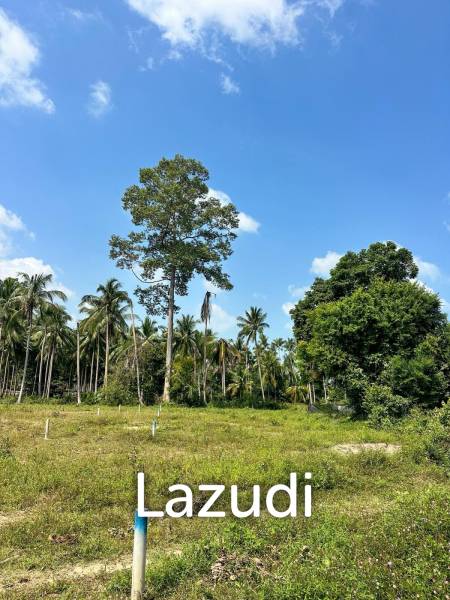 Land for Sale in Mae Nam – 962 SQM Peaceful Green Surroundings