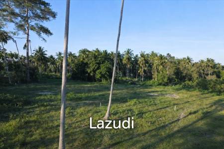 Land for Sale in Mae Nam – 962 SQM Peaceful Green Surroundings