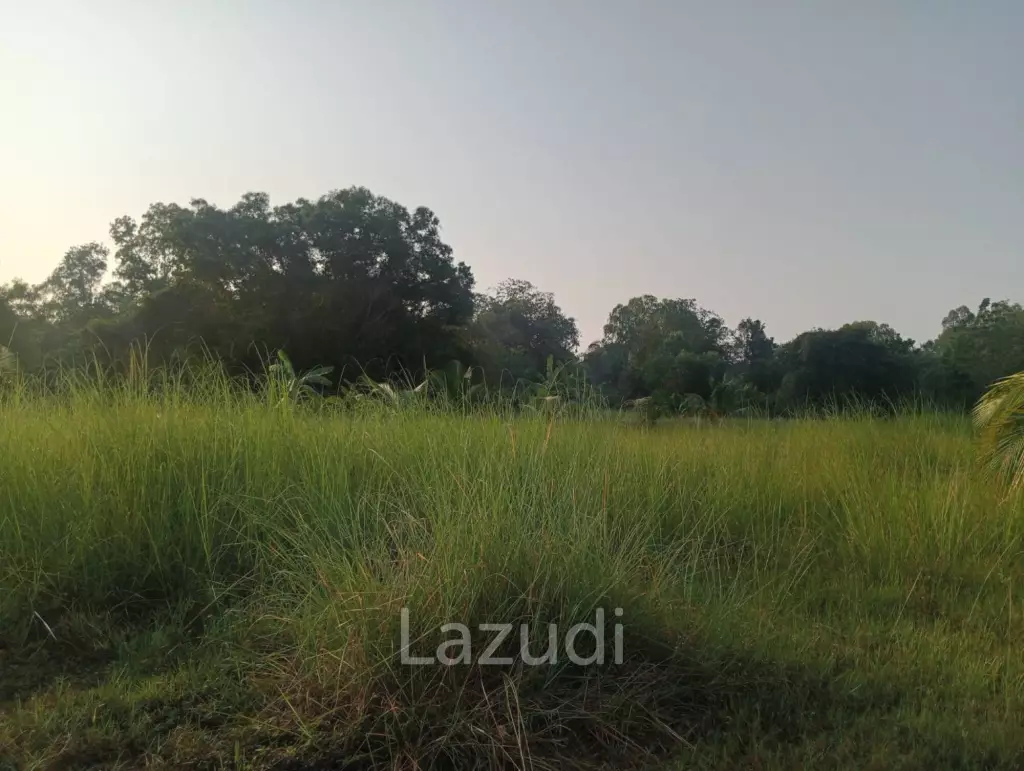 Prime Land  4,352 SQ.M. in Nong Yai Pattaya City