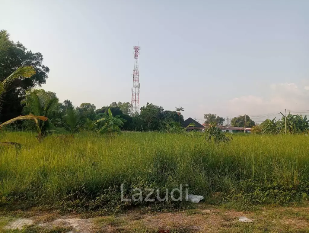 Prime Land  4,352 SQ.M. in Nong Yai Pattaya City